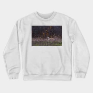 Coyote Crewneck Sweatshirt